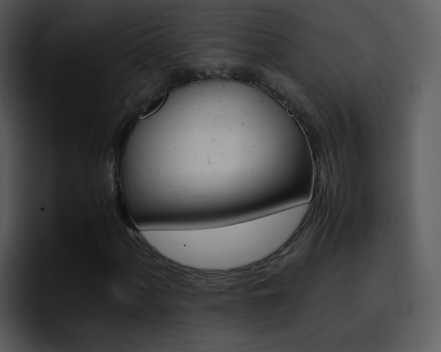 X0000096981060200802080855