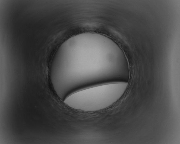 X0000096981061200802080855