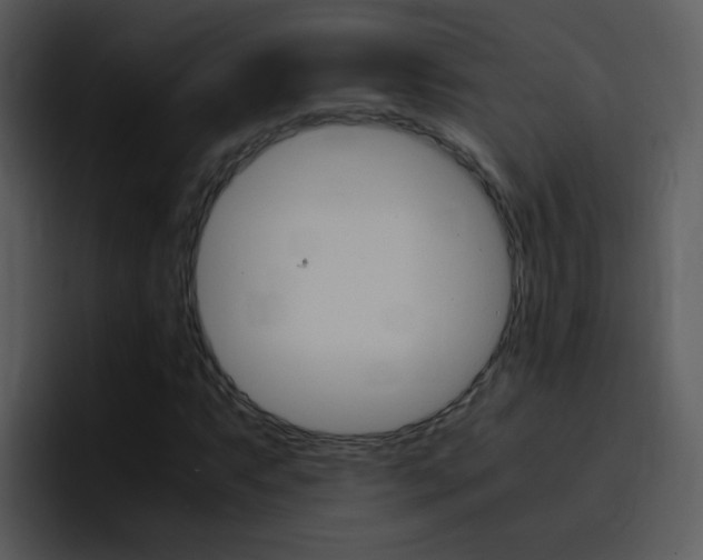 X0000096981063200802080855