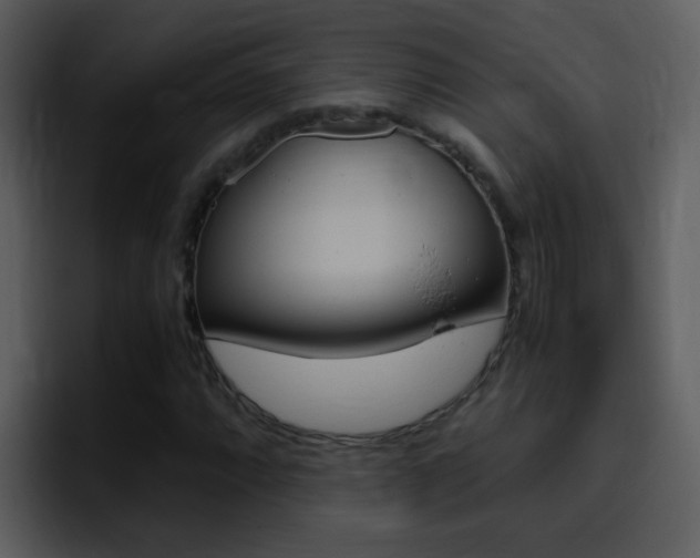 X0000096981064200802080855