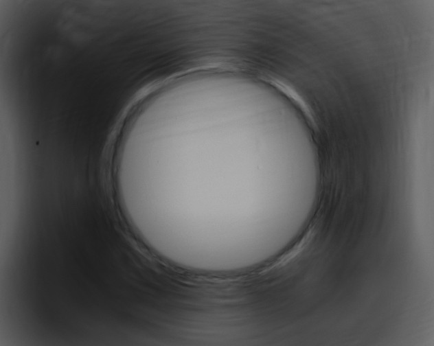 X0000096981067200802080855