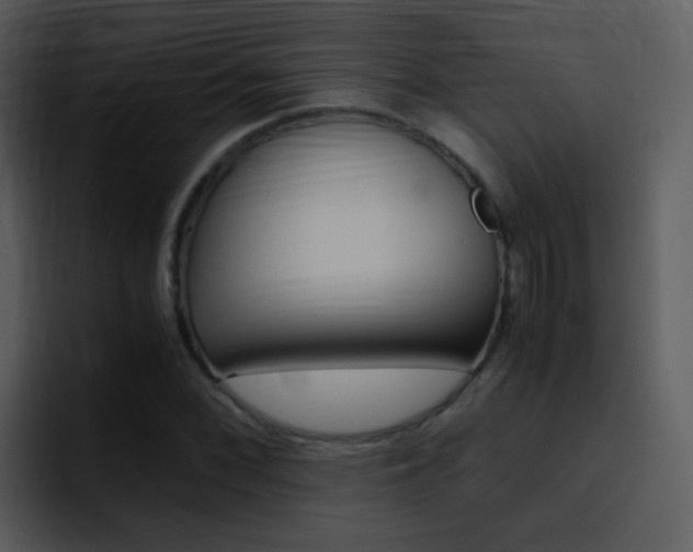 X0000096981068200802080855