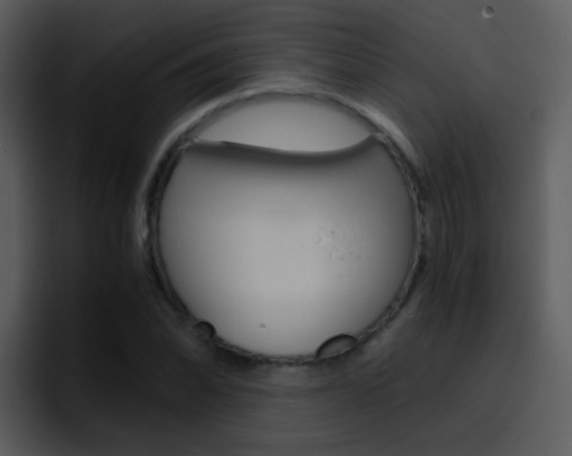 X0000096981070200802080855