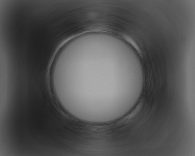 X0000096981071200802080855