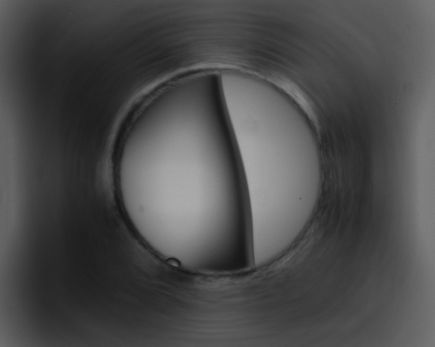 X0000096981072200802080855