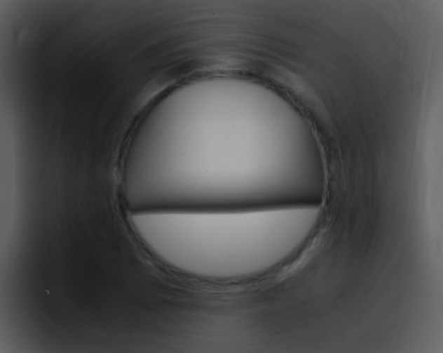 X0000096981073200802080855
