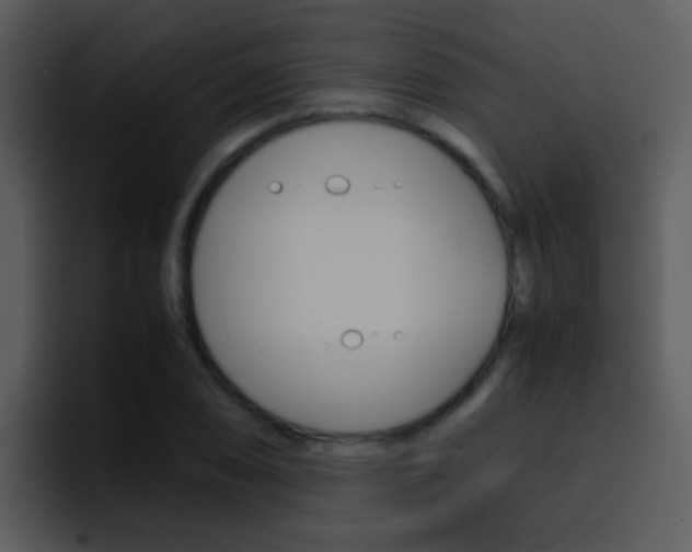 X0000096981074200802080855