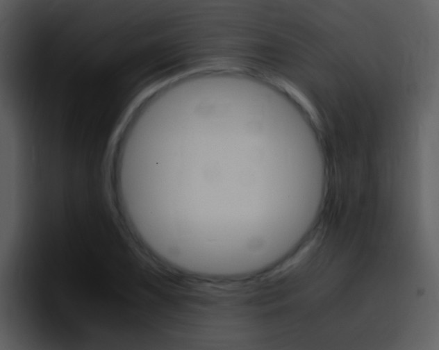 X0000096981075200802080855