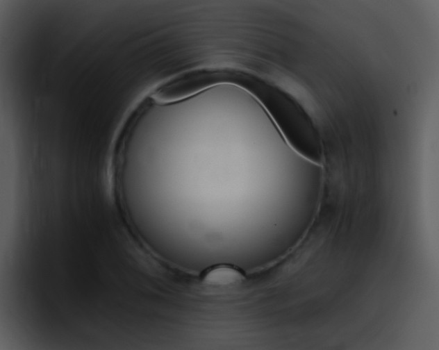 X0000096981076200802080855