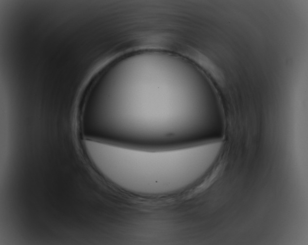X0000096981077200802080854
