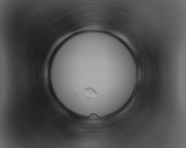X0000096981078200802080854