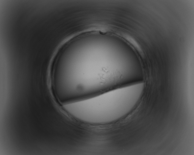 X0000096981080200802080854