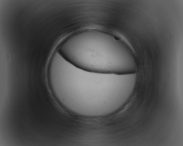 X0000096981082200802080854
