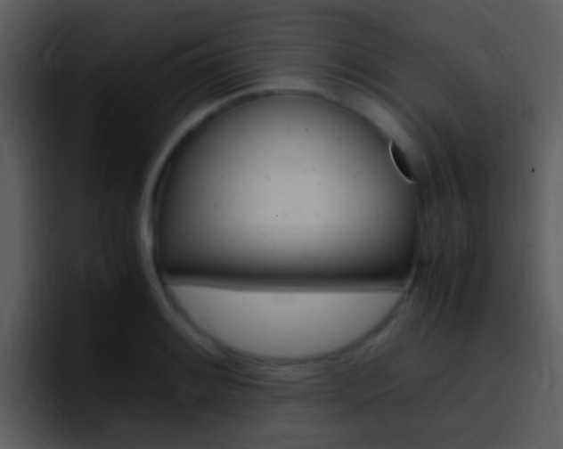 X0000096981084200802080854