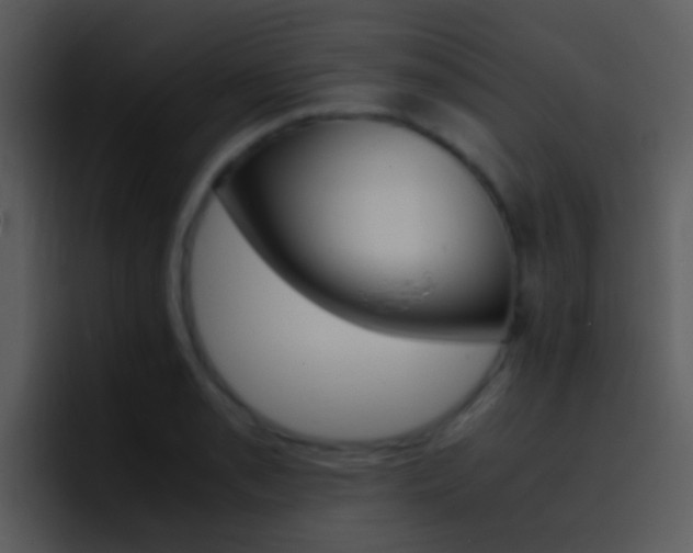 X0000096981085200802080854