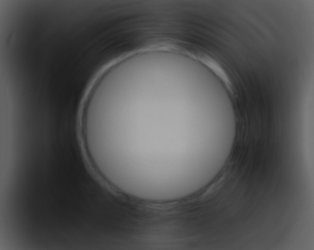 X0000096981088200802080854