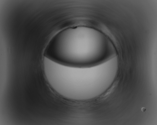 X0000096981089200802080854