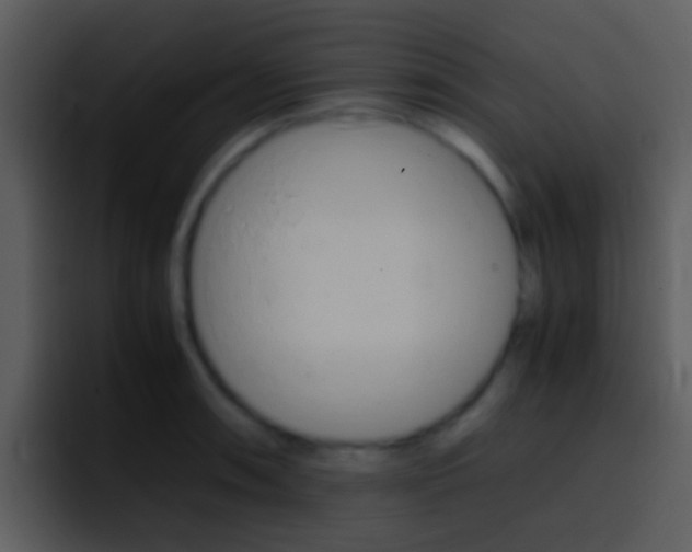 X0000096981090200802080854