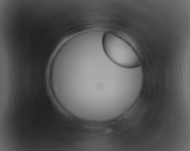 X0000096981091200802080854