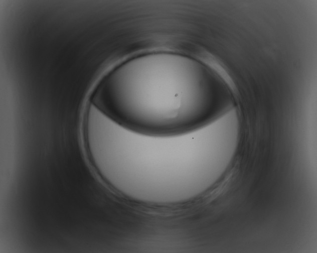 X0000096981093200802080854
