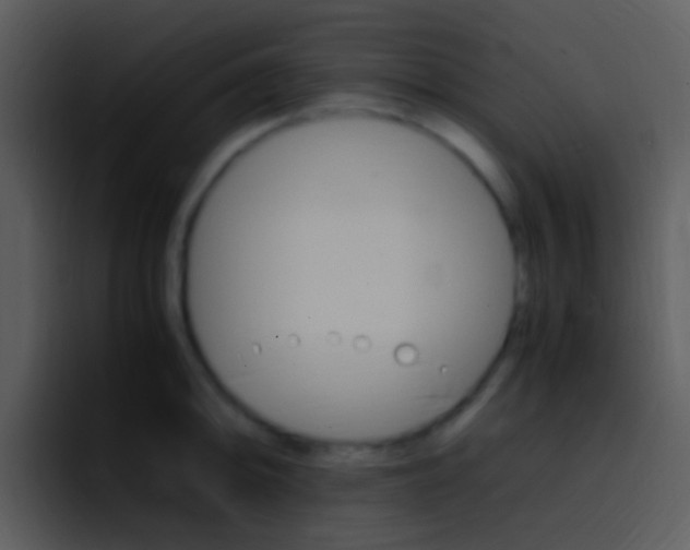 X0000096981094200802080854
