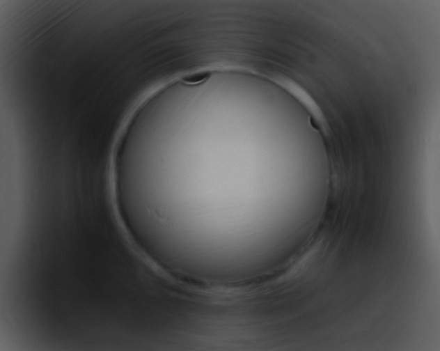 X0000096981096200802080854