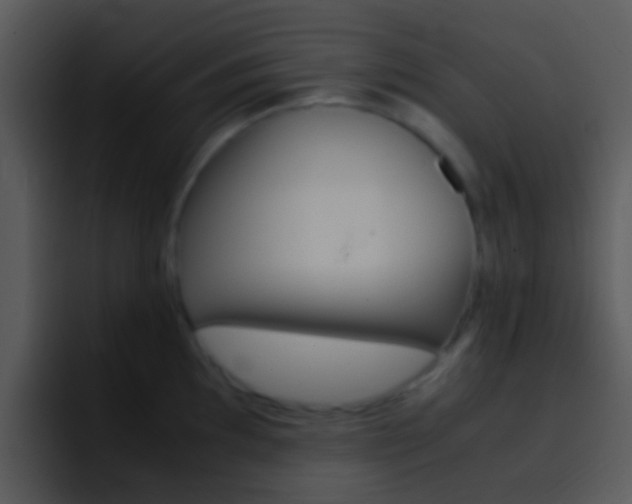 X0000096981097200802080854