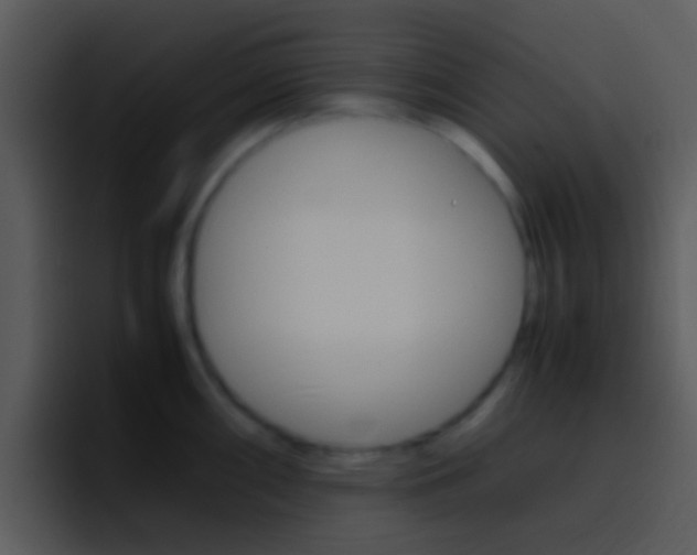 X0000096981098200802080854