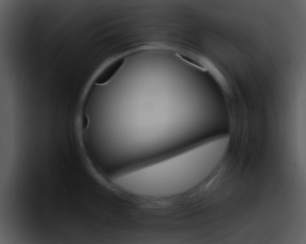 X0000096981100200802080854