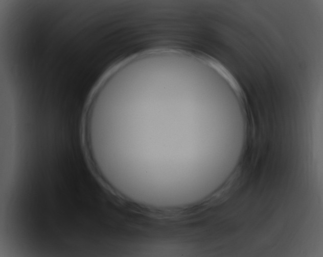X0000096981101200802080854