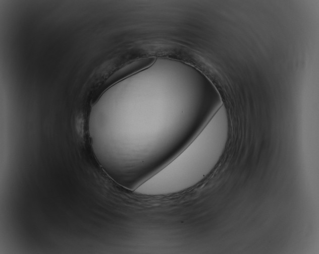 X0000096981108200802080854