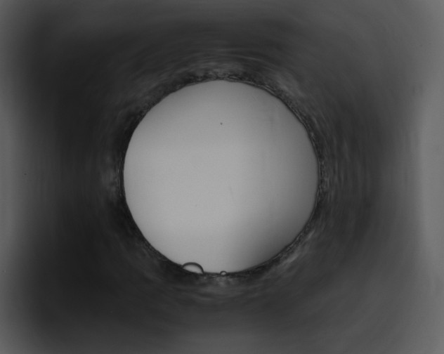 X0000096981109200802080854