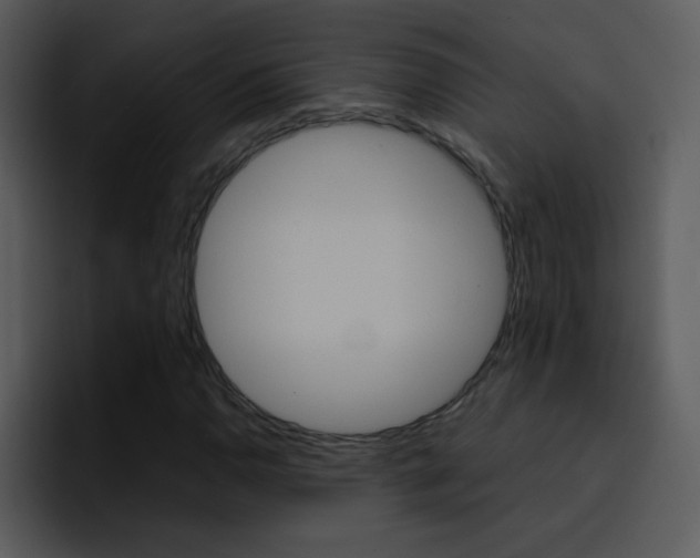 X0000096981110200802080854
