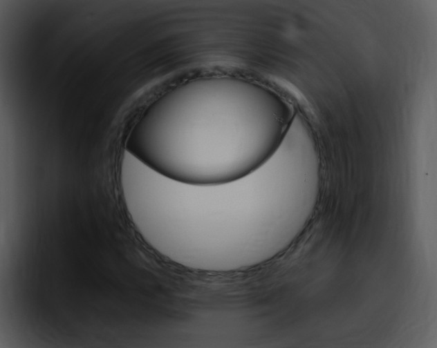 X0000096981112200802080854
