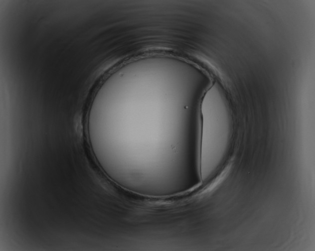 X0000096981113200802080854