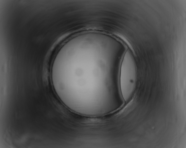 X0000096981115200802080854