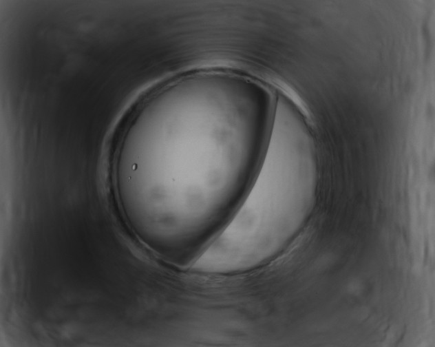 X0000096981116200802080854