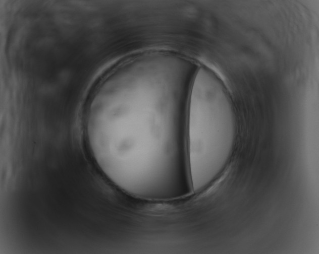 X0000096981119200802080854