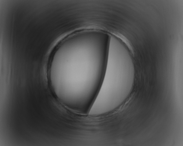 X0000096981120200802080854