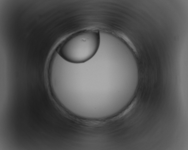 X0000096981122200802080854