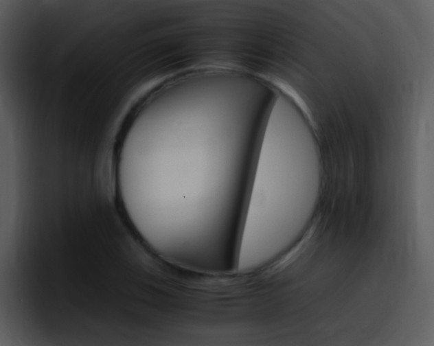 X0000096981123200802080854