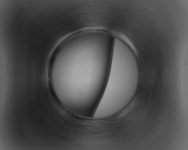X0000096981124200802080854