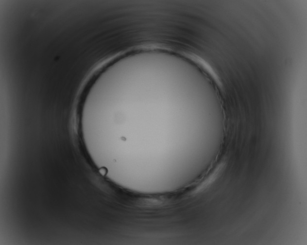 X0000096981125200802080854