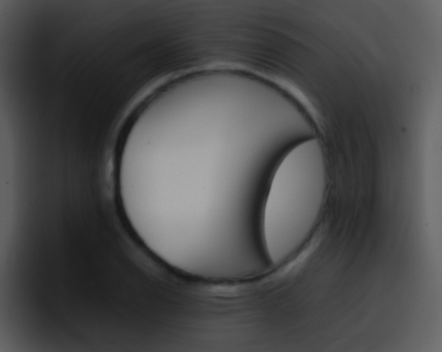 X0000096981126200802080854