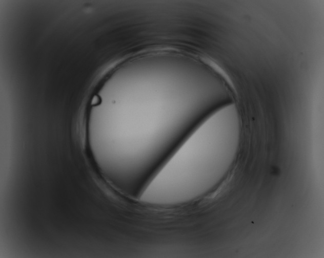 X0000096981127200802080854