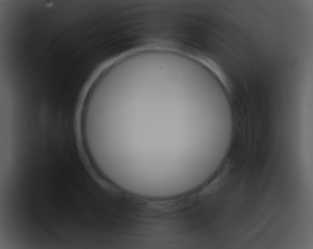 X0000096981128200802080854