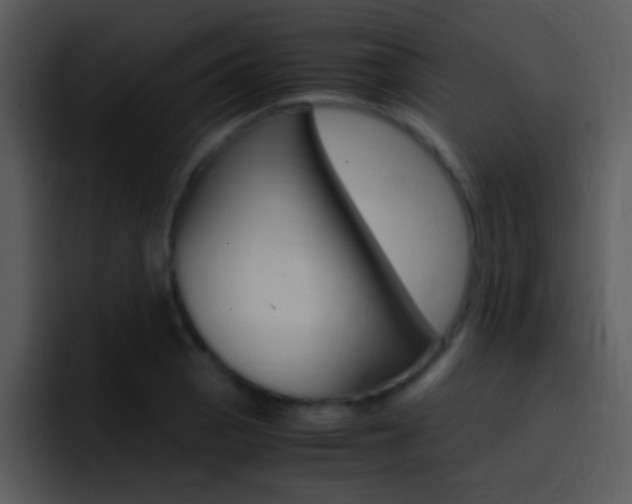 X0000096981129200802080854