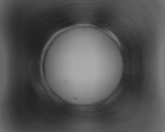 X0000096981132200802080854