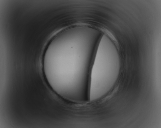 X0000096981133200802080854
