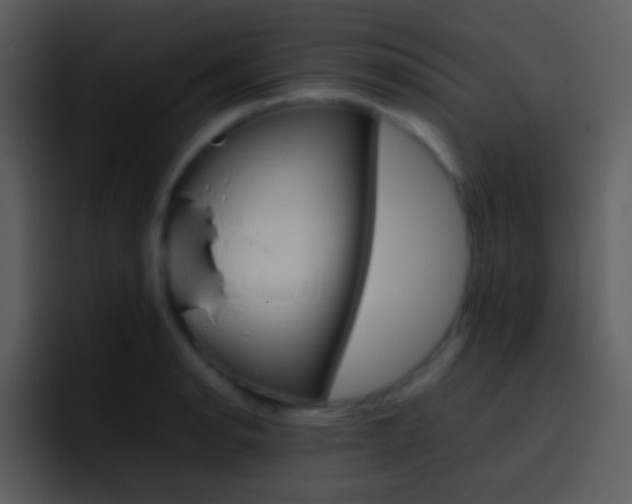 X0000096981134200802080854